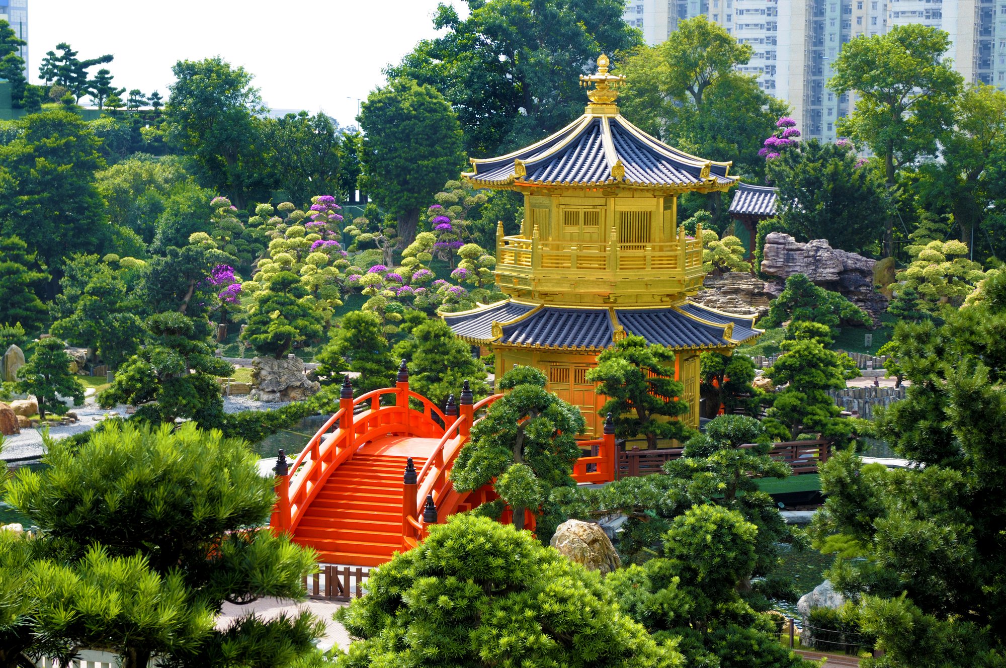 pagoda-dorada-y-puente-rojo-en-los-jardines-de-nan-lian-ciudad-de-kowloon-hong-kong pagoda-dorada-y-puente-rojo-en-los-jardines-de-nan-lian-ciudad-de-kowloon-hong-kong