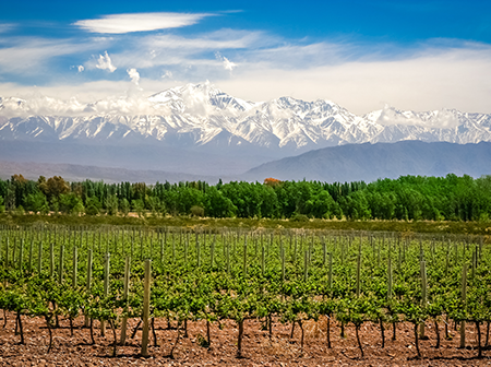 catalogo-premios-2025-mendoza-sudamerica